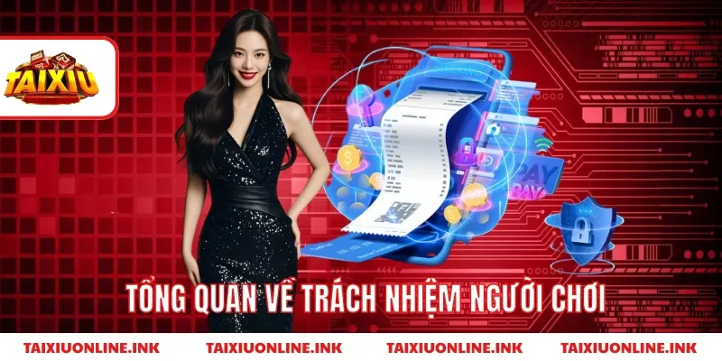 Tổng quan về trách nhiệm người chơi